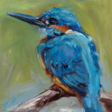 Kingfisher