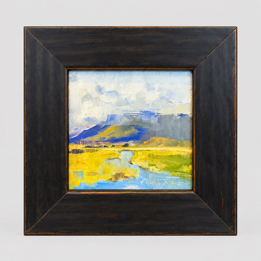 Chris N Josten,  Eastern Oregon, "Storm"  Original oil $95